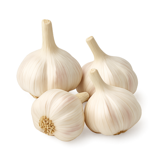 Gavran Lasoon (Garlic)