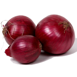 Gavran Red Onion